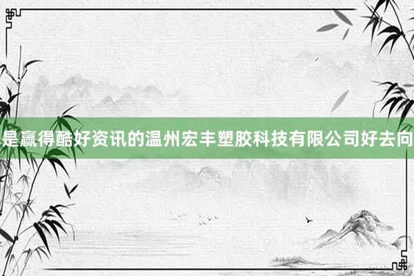 是赢得酷好资讯的温州宏丰塑胶科技有限公司好去向
