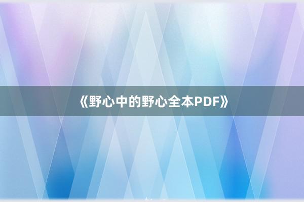 《野心中的野心全本PDF》