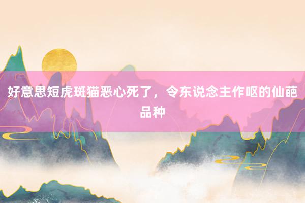 好意思短虎斑猫恶心死了，令东说念主作呕的仙葩品种
