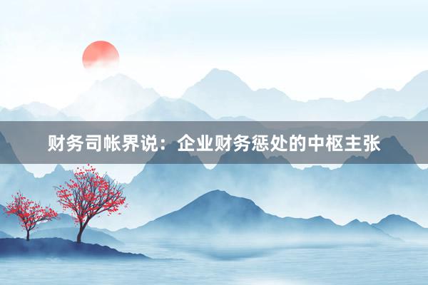 财务司帐界说：企业财务惩处的中枢主张