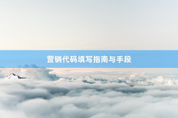 营销代码填写指南与手段