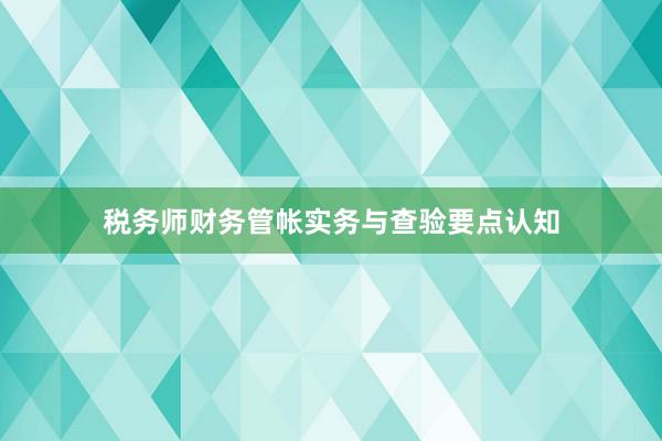 税务师财务管帐实务与查验要点认知